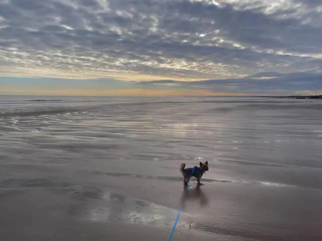 Charming 2 Bedroom Holiday Chalet Withernsea Esterno foto